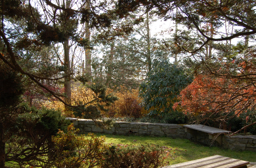 Ambler Arboretum, United States